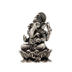 A.S COLL SILVER 3D